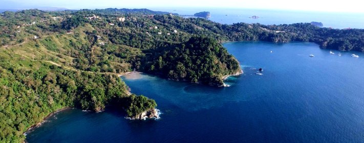 verdant manuel antonio